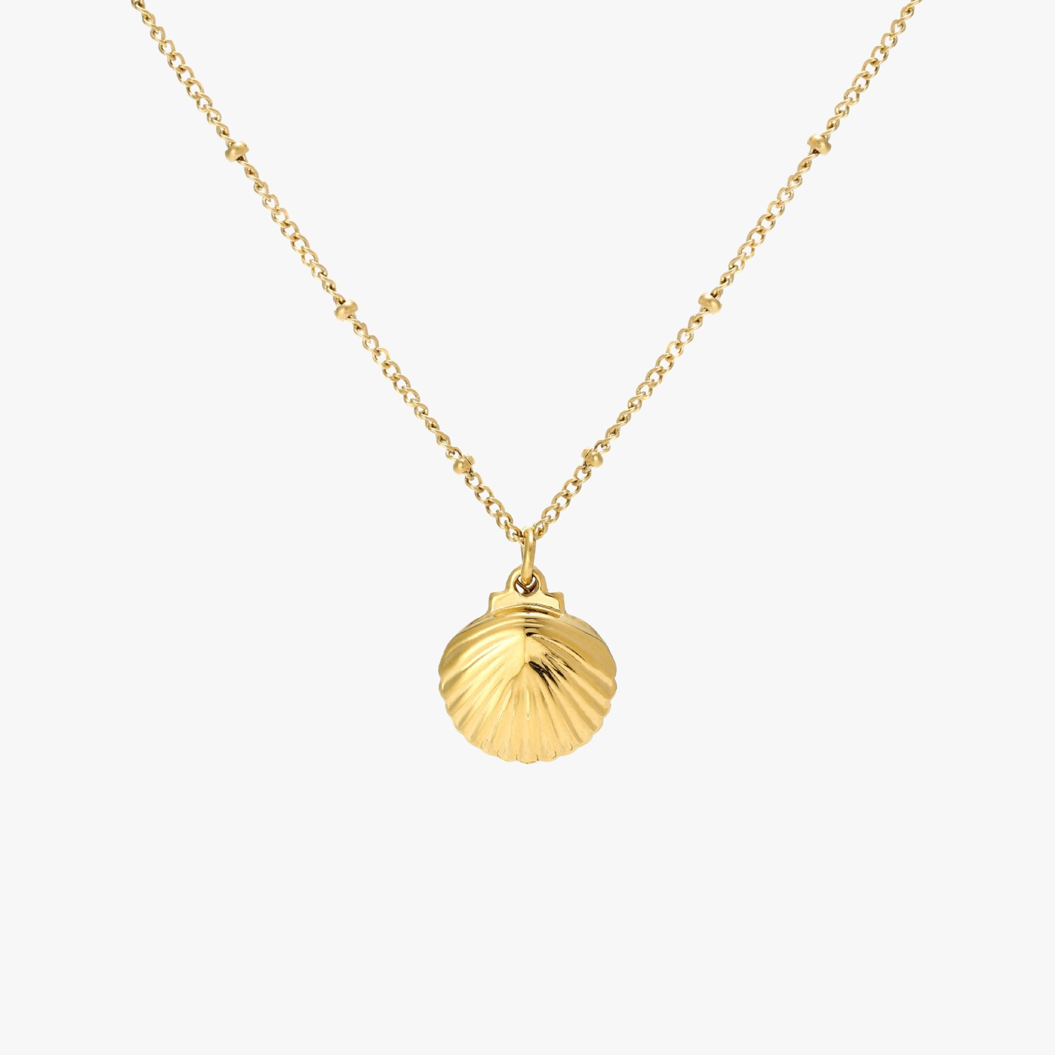 Athena Seashell Necklace
