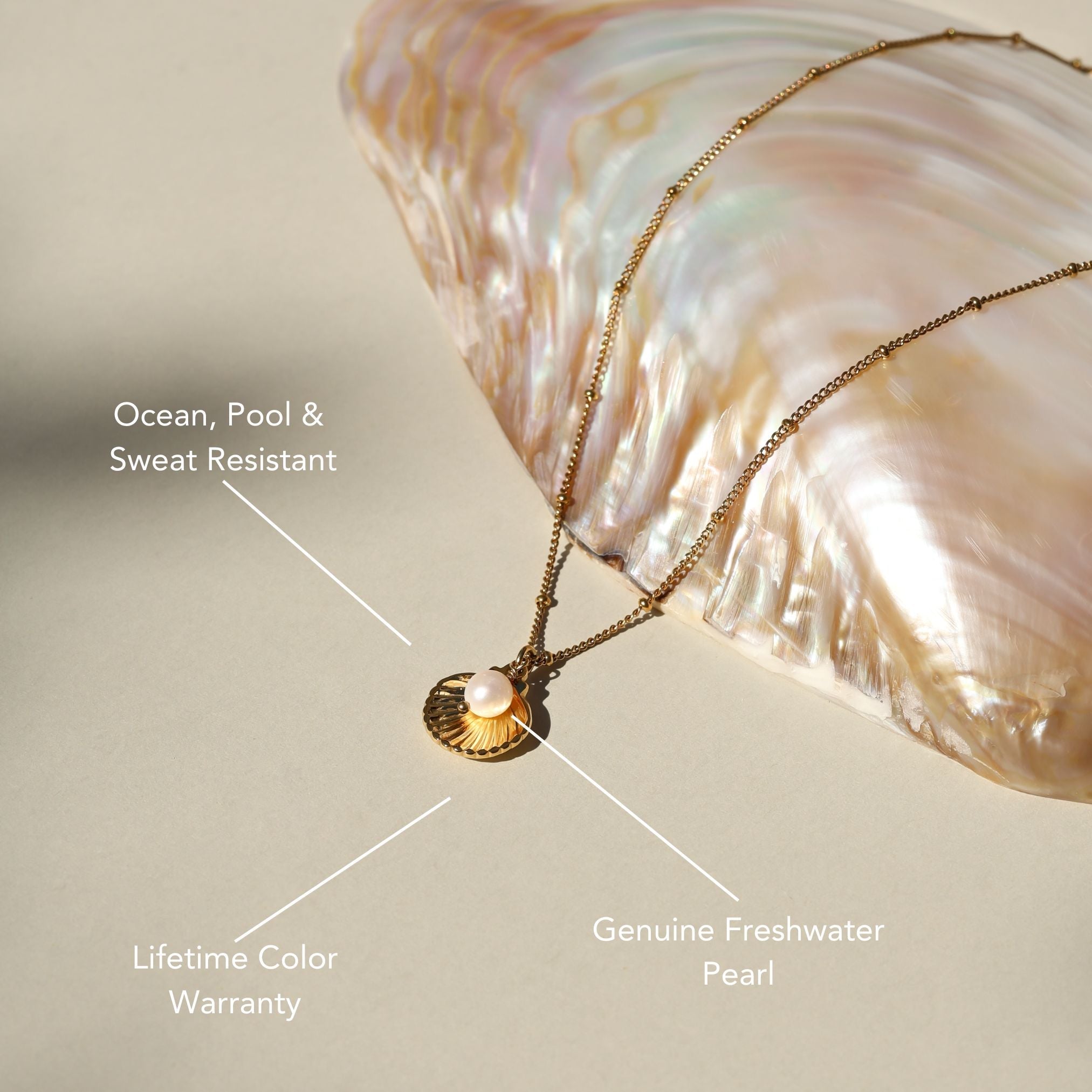 Athena Seashell Necklace