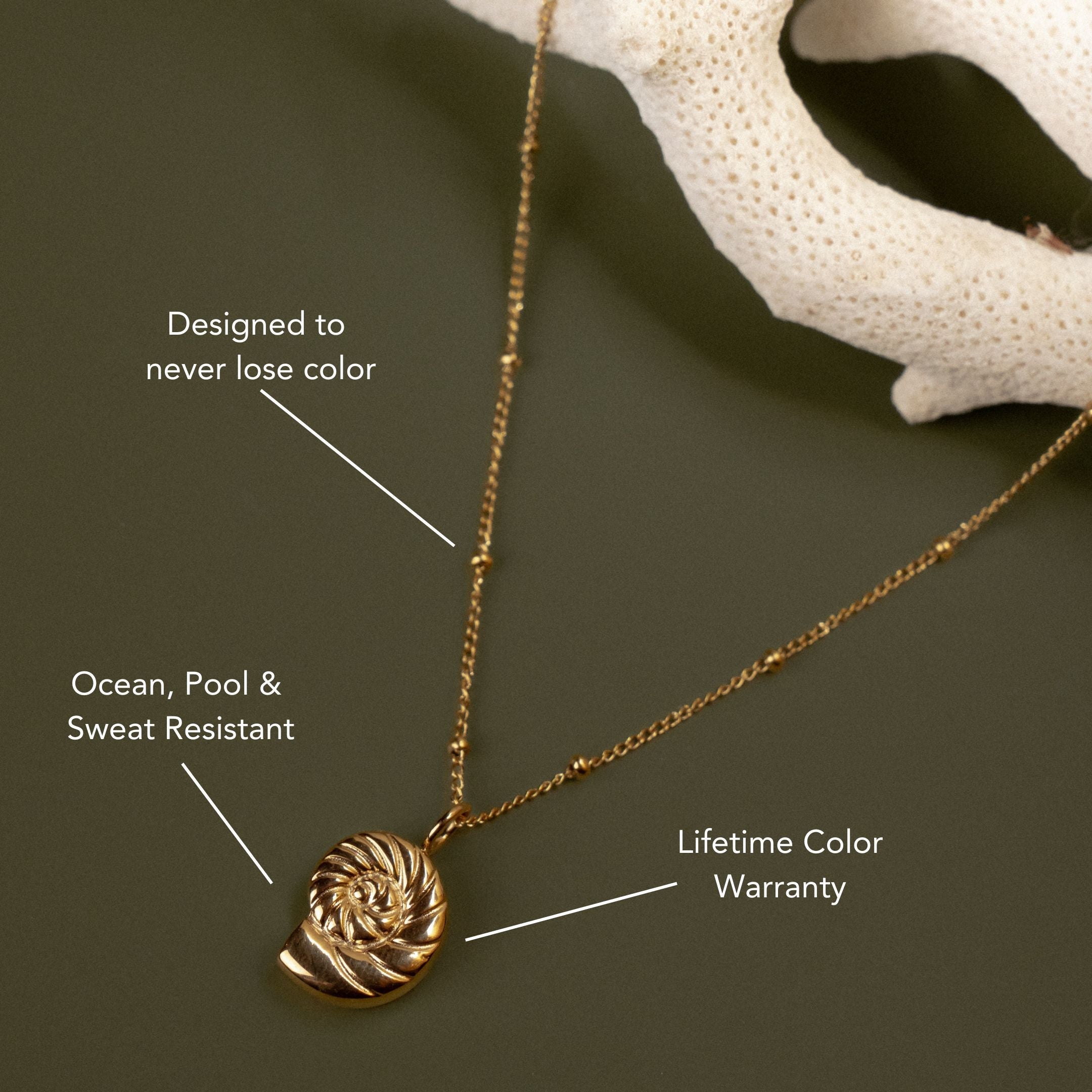 Athena Nautilus Necklace