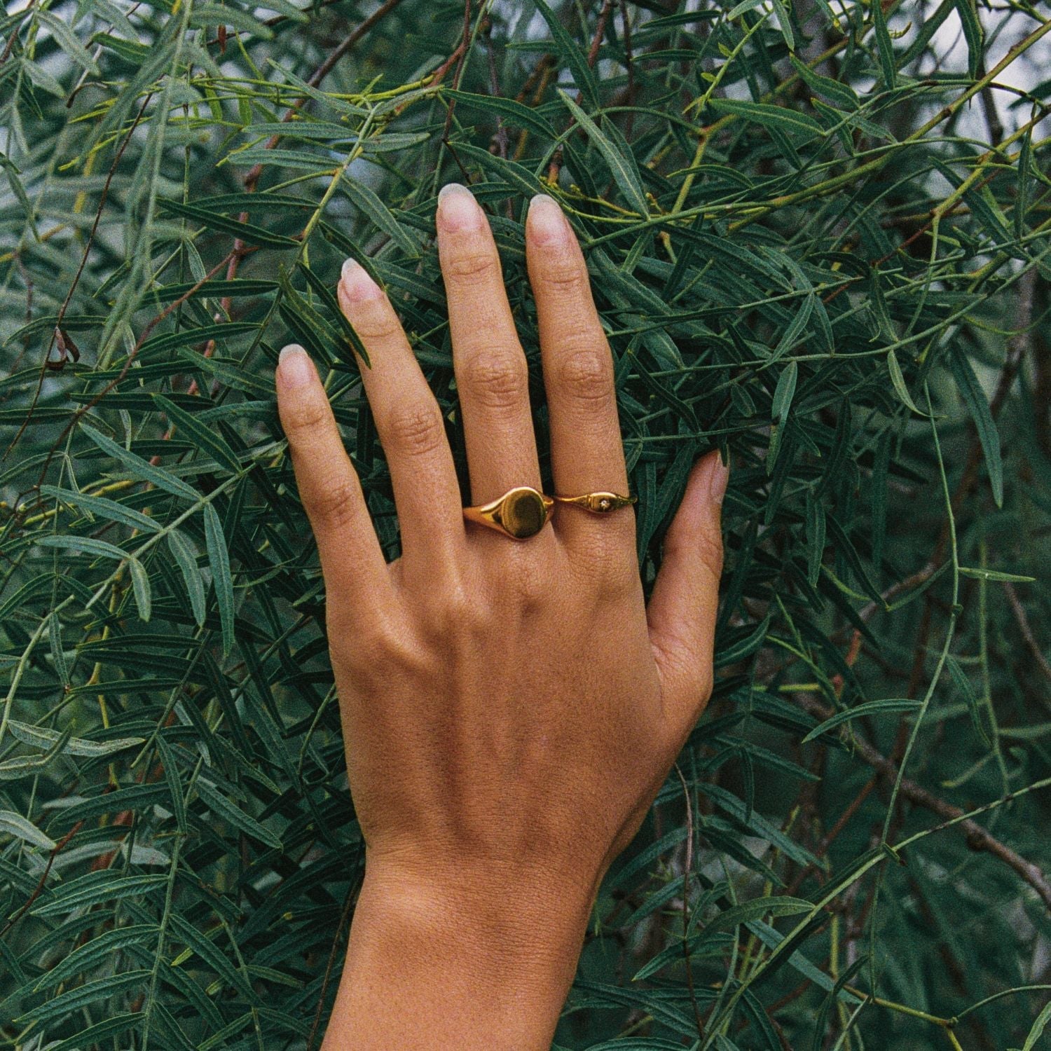 Athena Oval Signet Ring