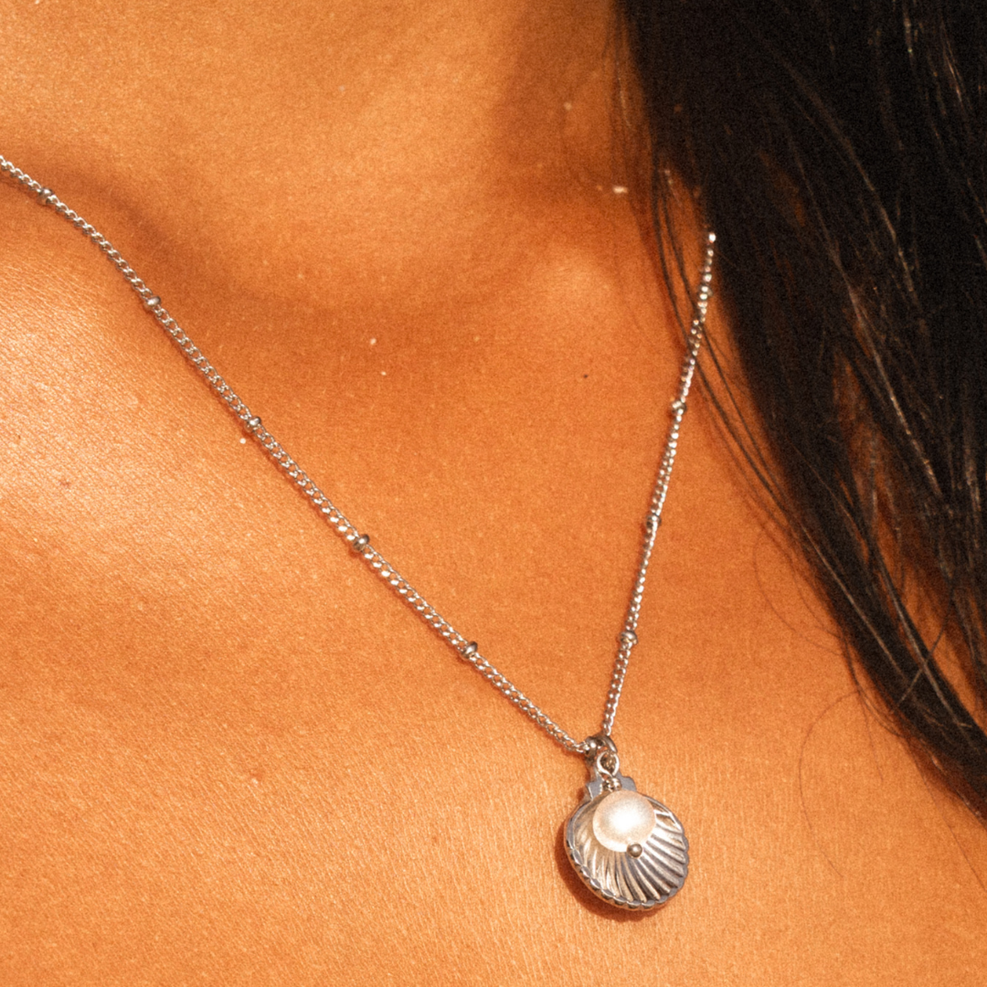 Athena Seashell Necklace