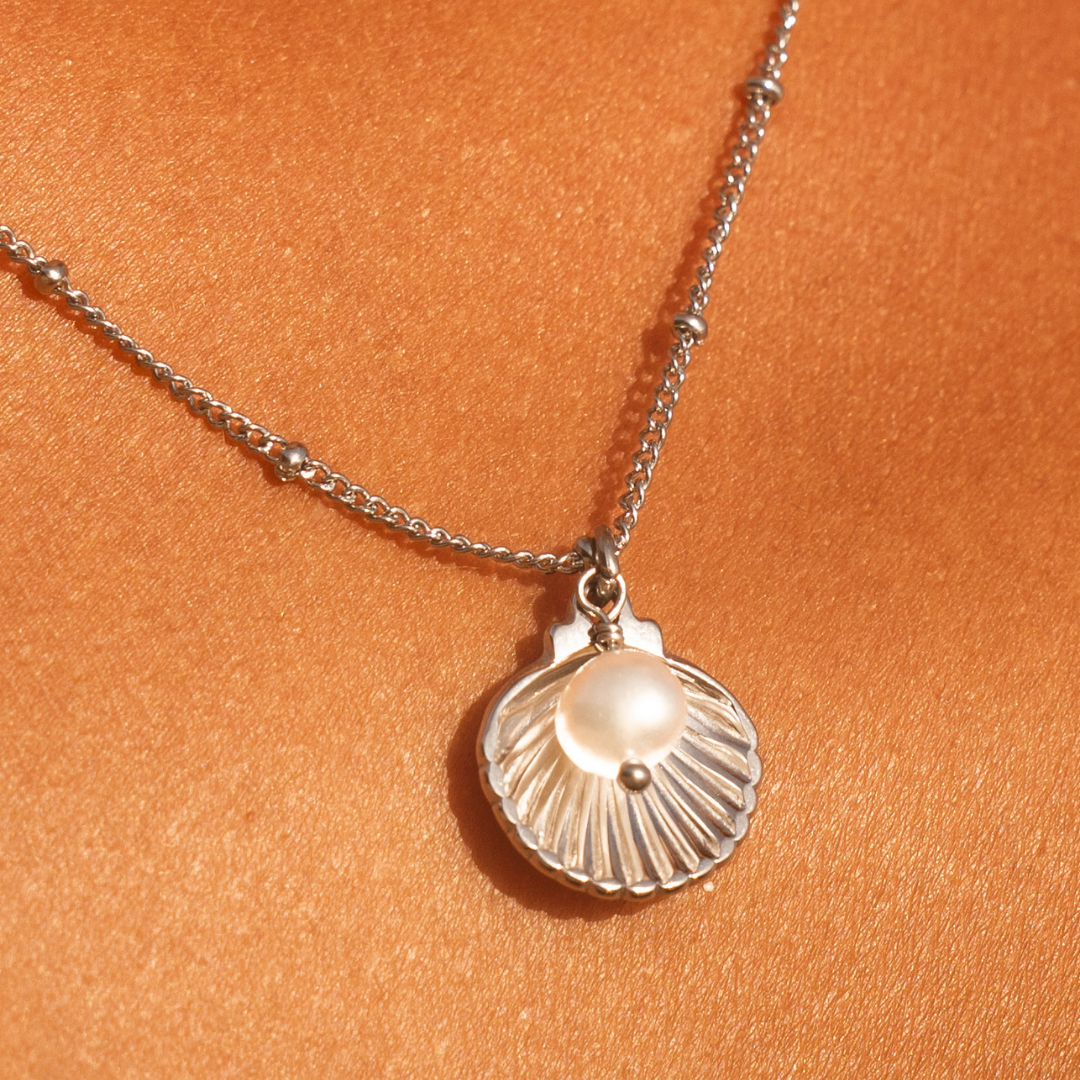 Athena Seashell Necklace