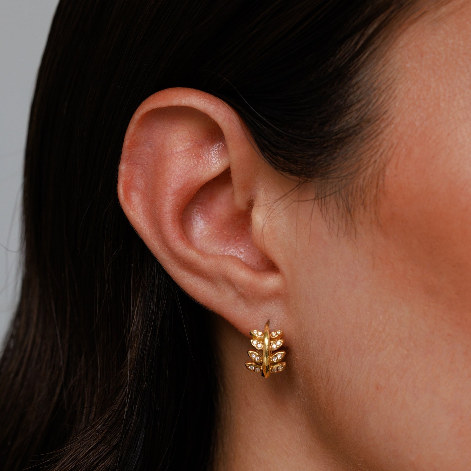 Athena Laurel Hoops Earrings