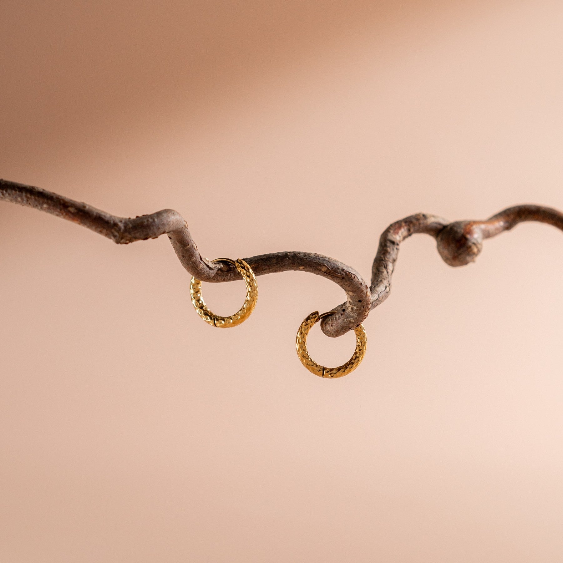 Athena Hammered Hoops Earrings