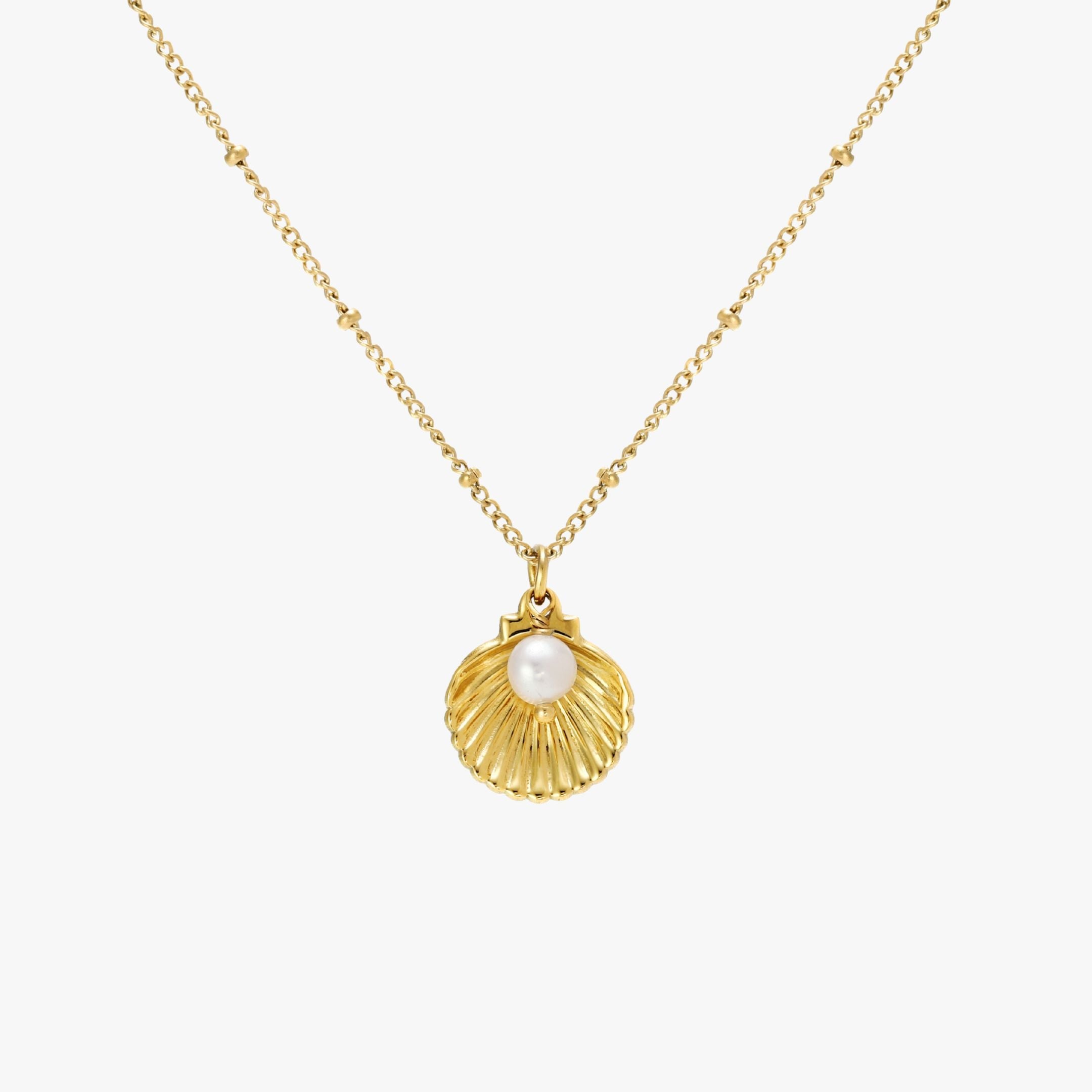 Athena Seashell Necklace