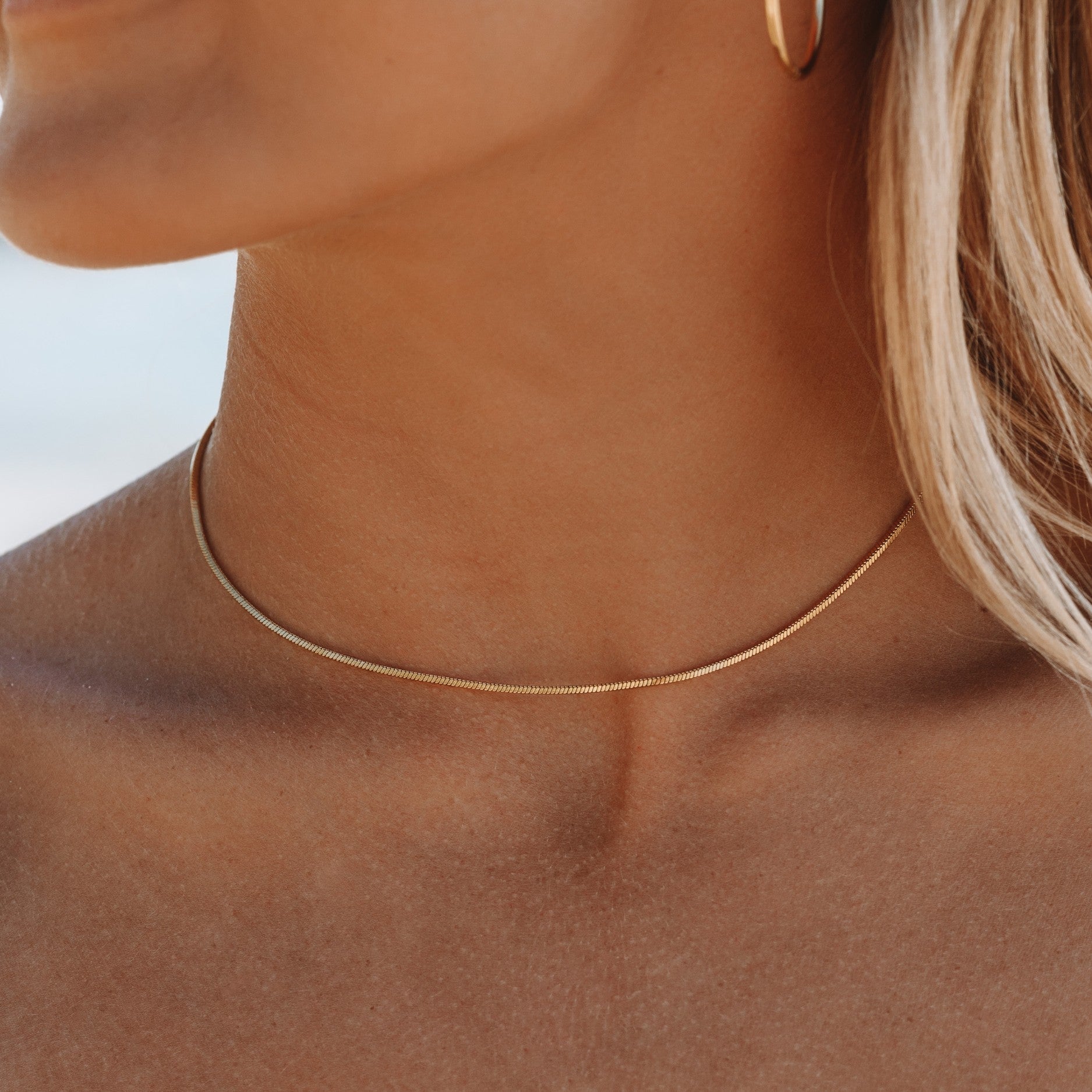Athena Fine Choker