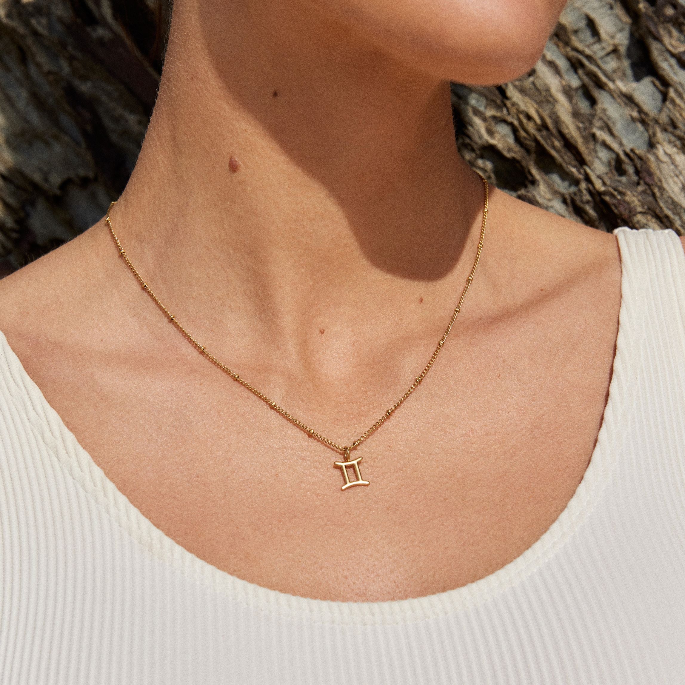 Athena Zodiac Necklace